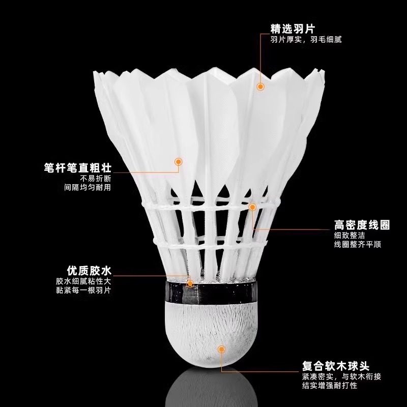 Volants de badminton Lion en p - Feather Shuttlecock avis et prix